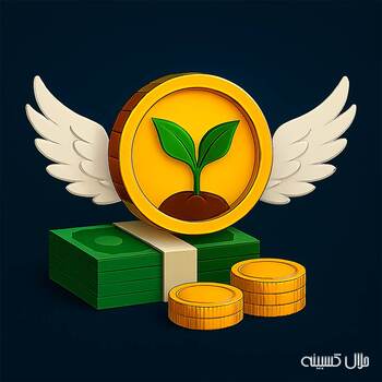 چگونه یک استارتاپ می‌تواند سرمایه‌گذار فرشته جذب کند؟