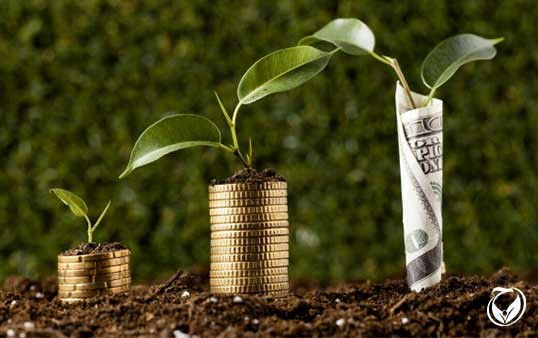 تأثیر سرمایه‌گذاری حلال بر توسعه اقتصادی پایدار